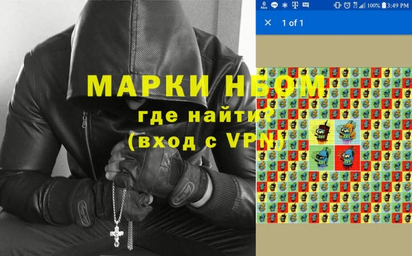 шишки Арсеньев