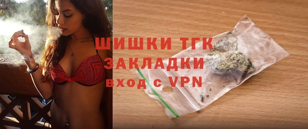 шишки Арсеньев