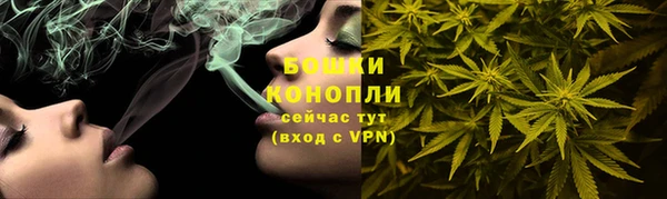 шишки Арсеньев