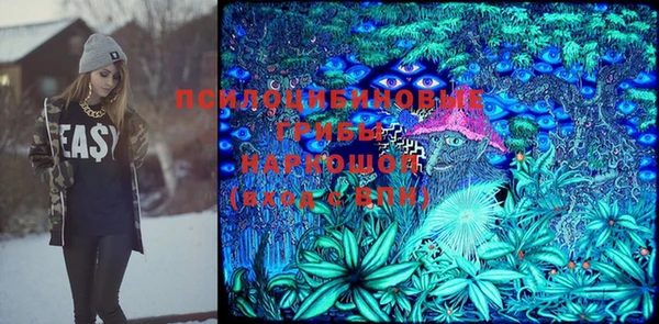 амф Магас