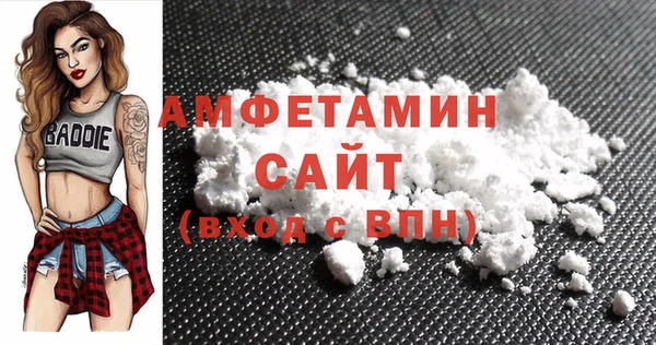 шишки Арсеньев