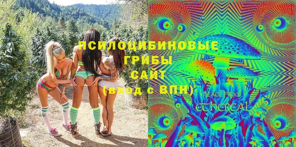 шишки Арсеньев